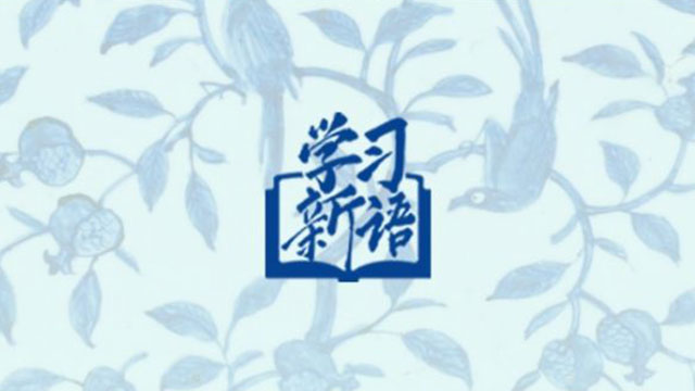 学习新语·非遗｜“中华文化的传承力有多强，通过这个苏绣就可以看出来”